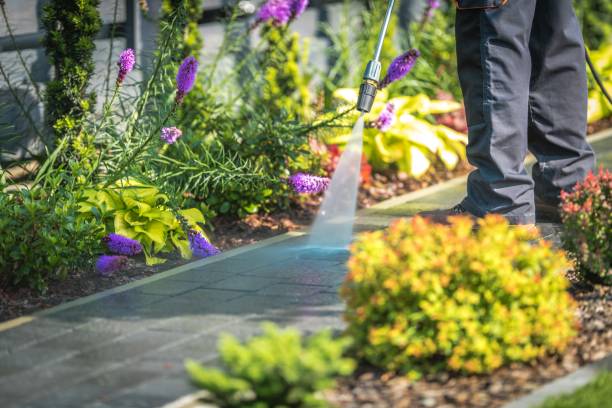 Best Driveway Pressure Washing  in Pierson, FL